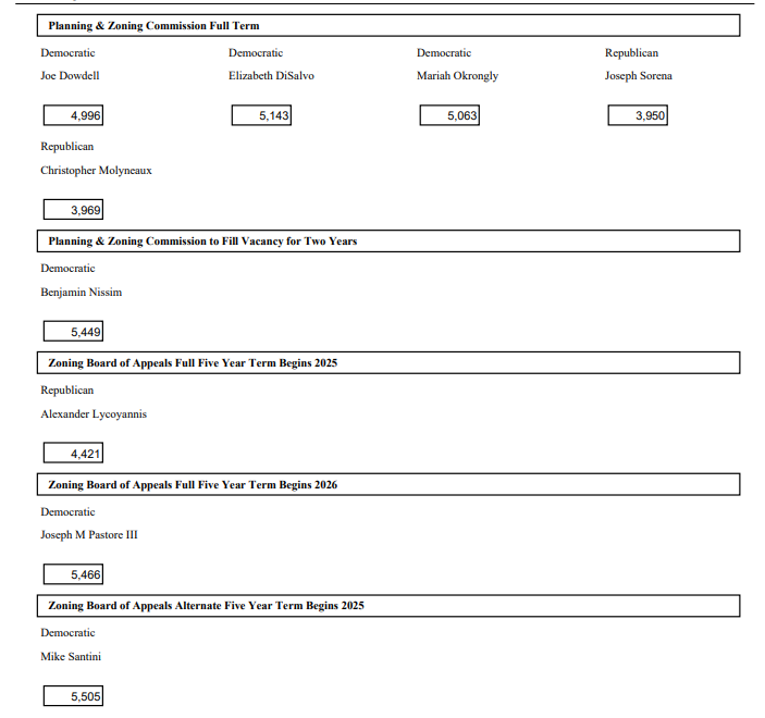 2025 nov referendum results 2